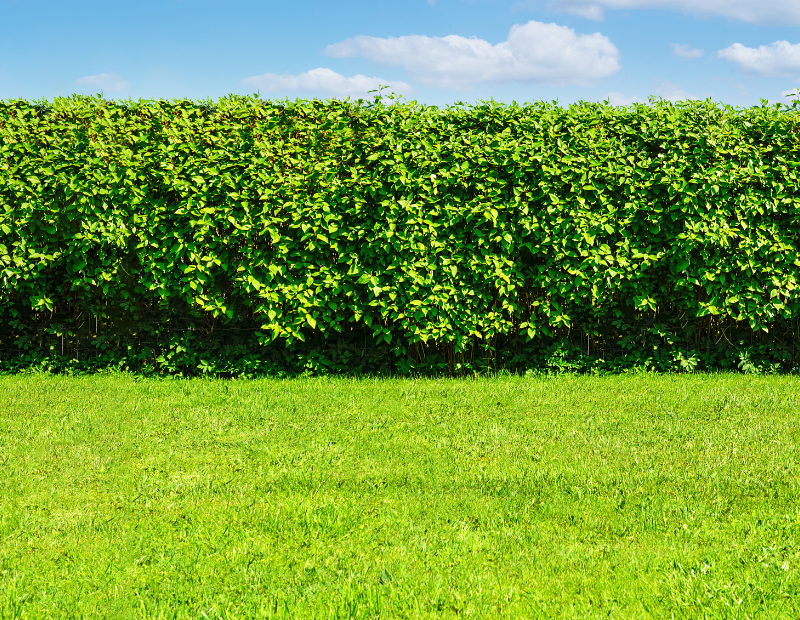 best fence solutions website image